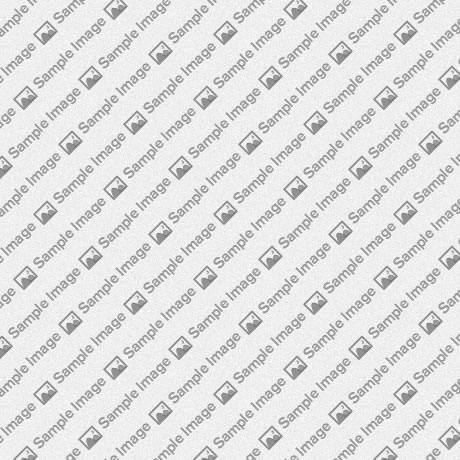 Manually Set Image Size